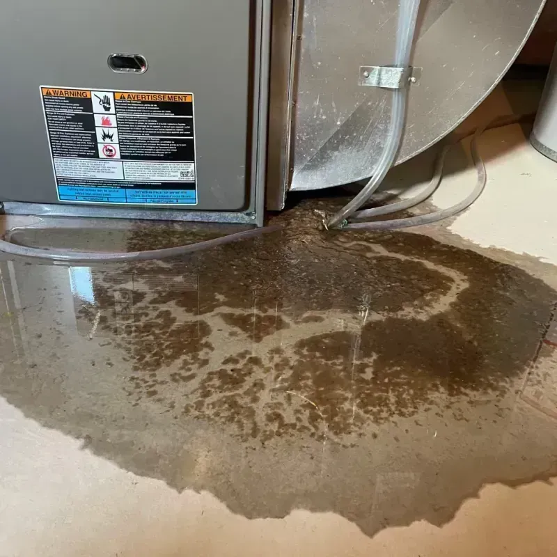 Appliance Leak Cleanup in Hermitage, MO